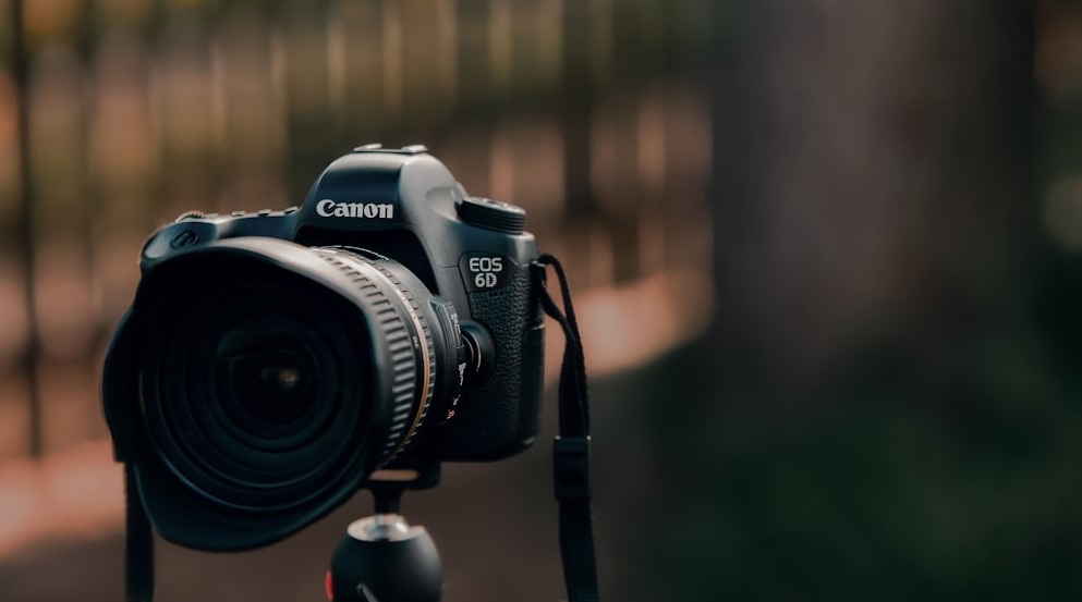 Cara Memindahkan Foto dari Kamera Canon ke Laptop